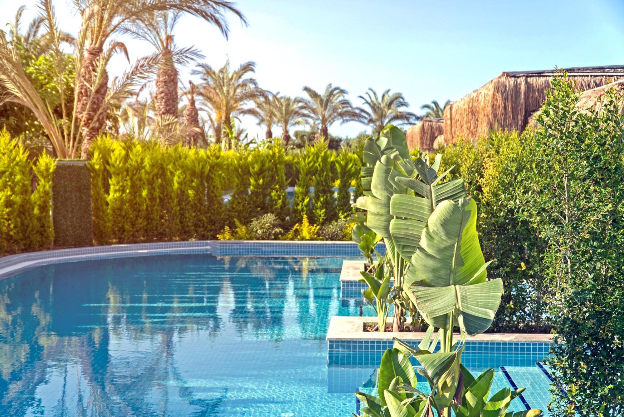 Royal Wings Otel Antalya